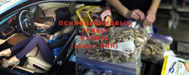 где продают наркотики  Завитинск  Галлюциногенные грибы Psilocybe 